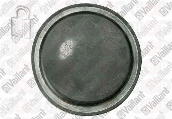 Diaphragm