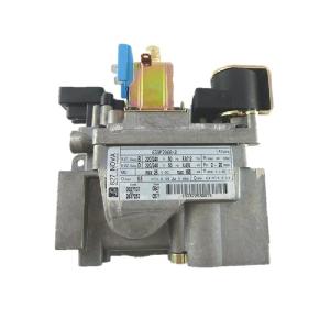 GAS VALVE (ELECTRONIC)