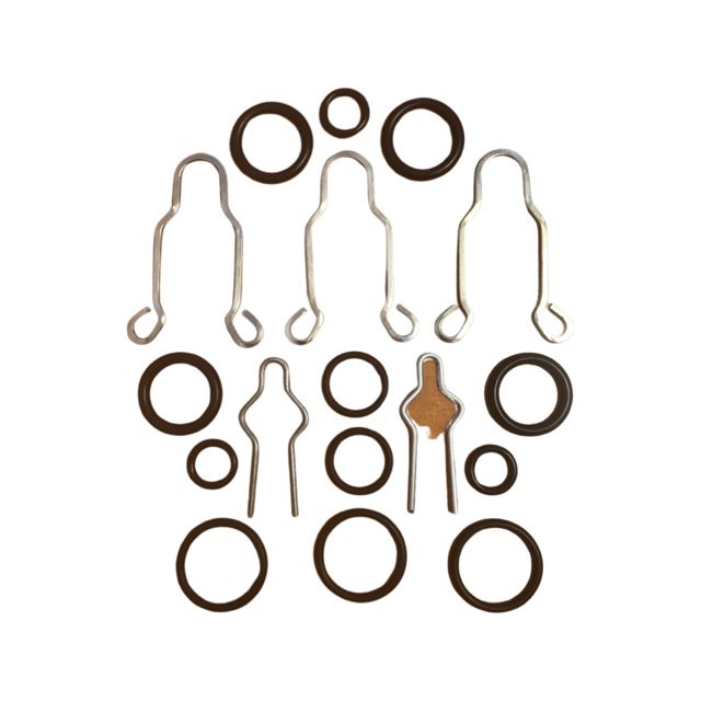 O-RING AND SPRING CLIP KIT