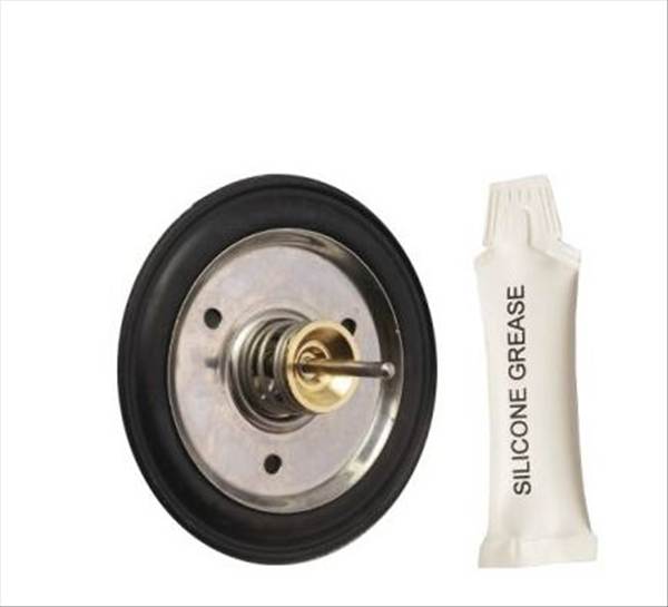 DIAPHRAGM REPLACEMENT KIT