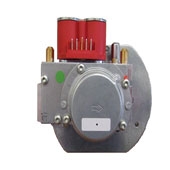 GAS CONTROL VALVE ASSY