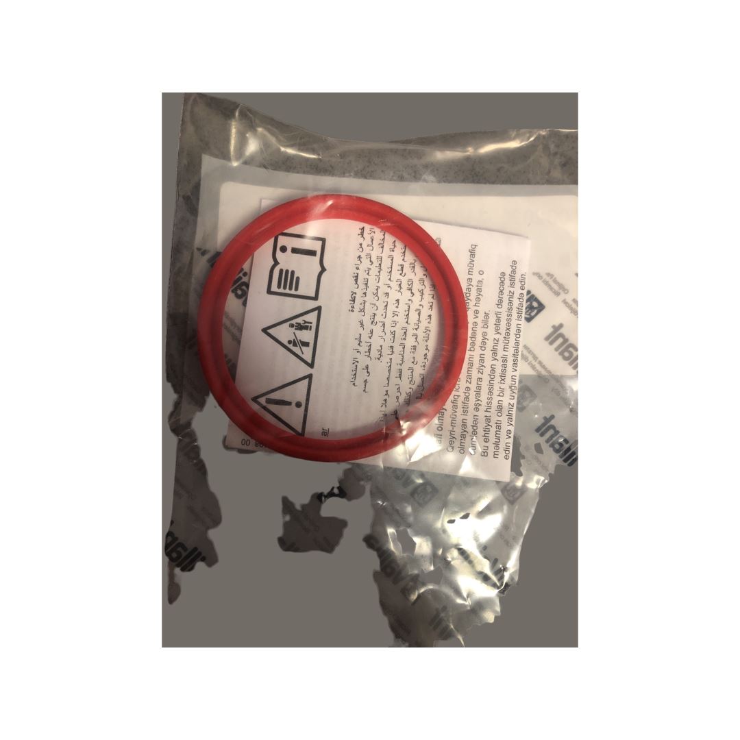 Lip seal, silicone (DN 60)