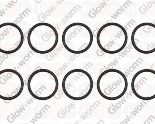 O-ring (PK10)