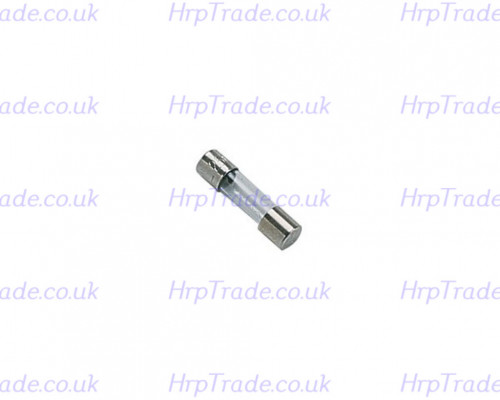 FUSE 250V 0.315A - TEMPORIZED- ARISTON  CHAFFOTEAUX