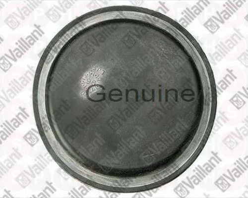 Diaphragm