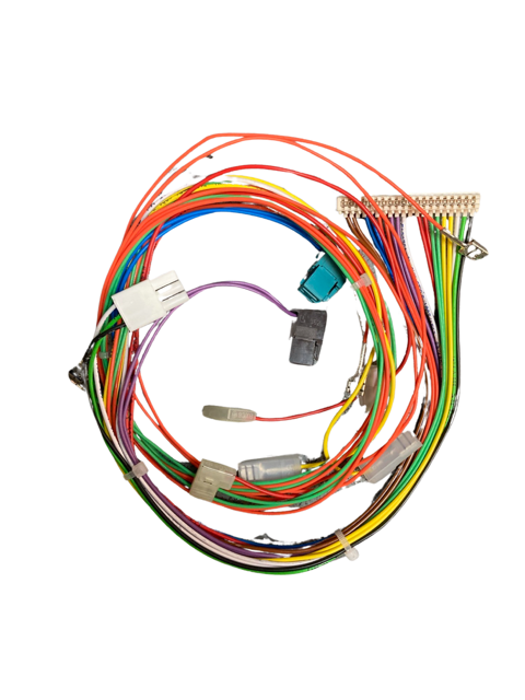 HARNESS MAIN