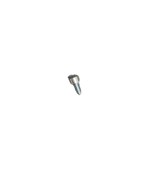 Screw M5x10 (CASING)