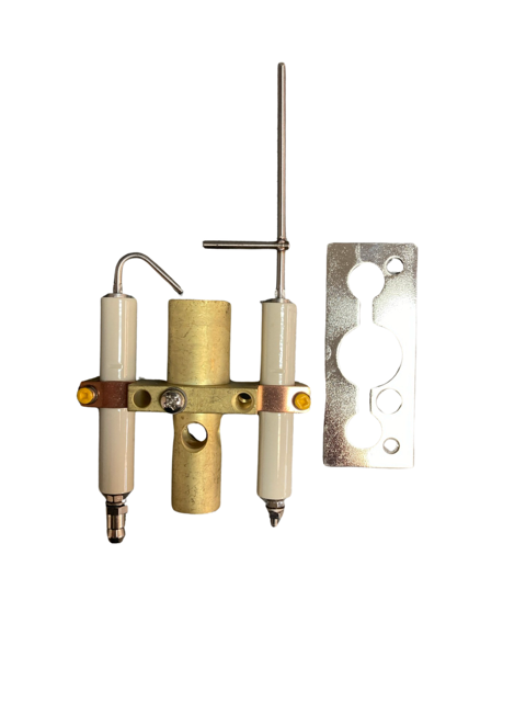 PILOT & ELECTROD ASSY  D'WENT