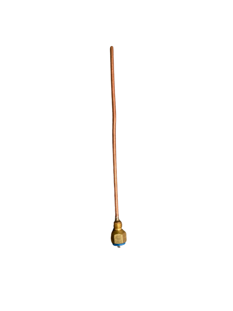 SENSOR D.H.W. INLET  (BLUE)