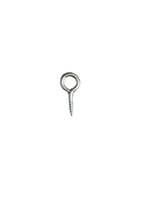 EYE SCREW