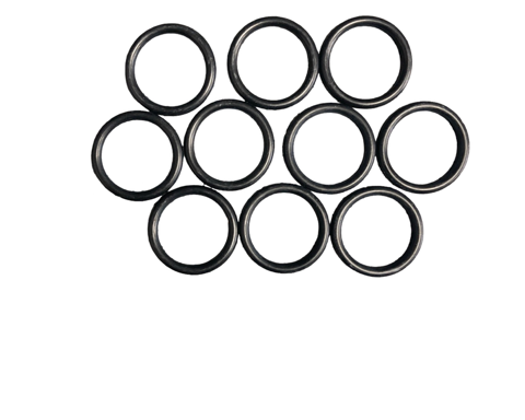O-RING (10X)