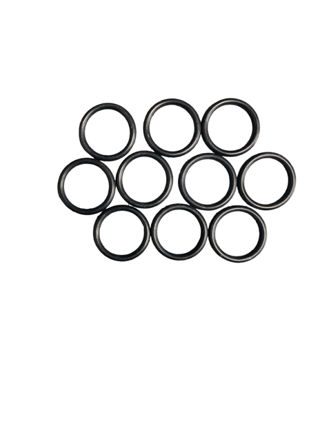 O-RING (10X)