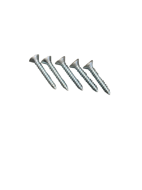 Plate Screw T20