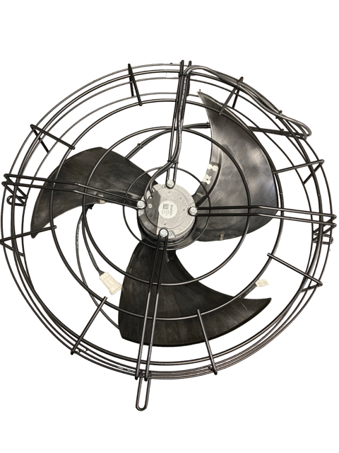 Fan