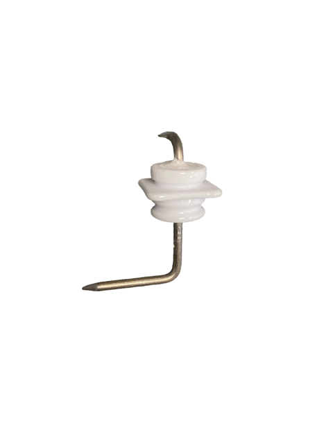 ELECTRODE (IONIZATION)