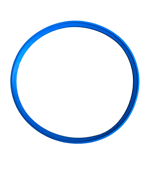 Lips sealing ring (dbl lip)