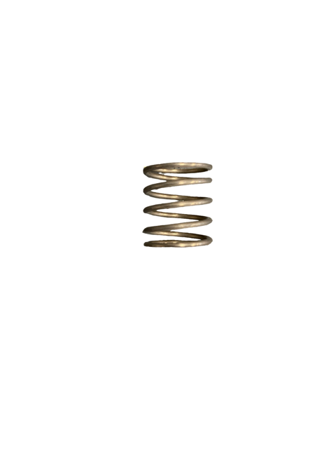 Biasi BI1011110 - Pressure Switch Spring