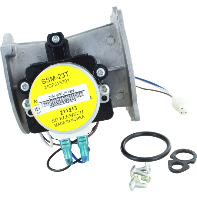 Valve KIT;NPW,DUAL VENTURI,220V A/S