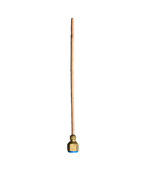 SENSOR D.H.W. INLET  (BLUE)