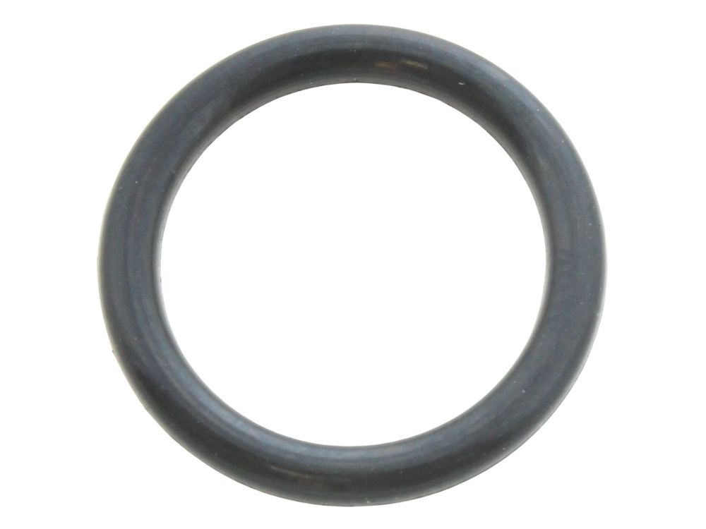 MAIN GAS VALVE O RING