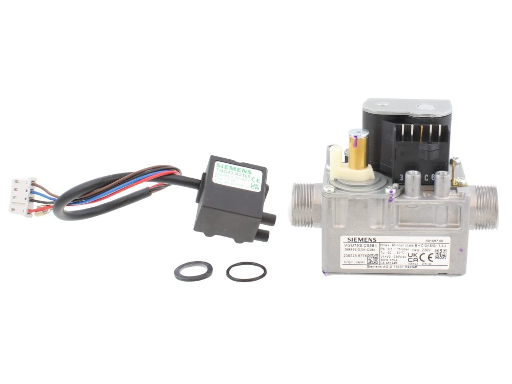 Gas Valve and Ignition Module Set