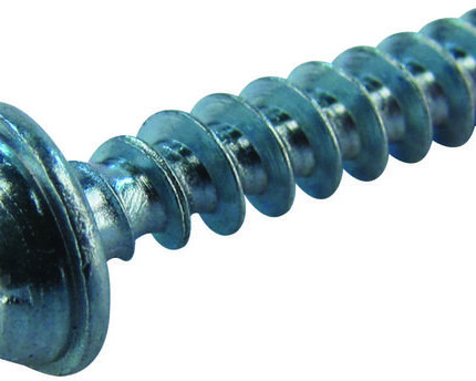 Screw