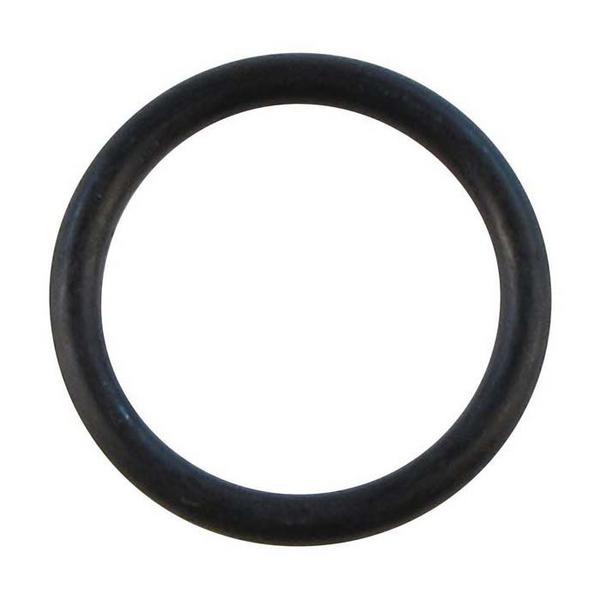 O-ring (PK10)