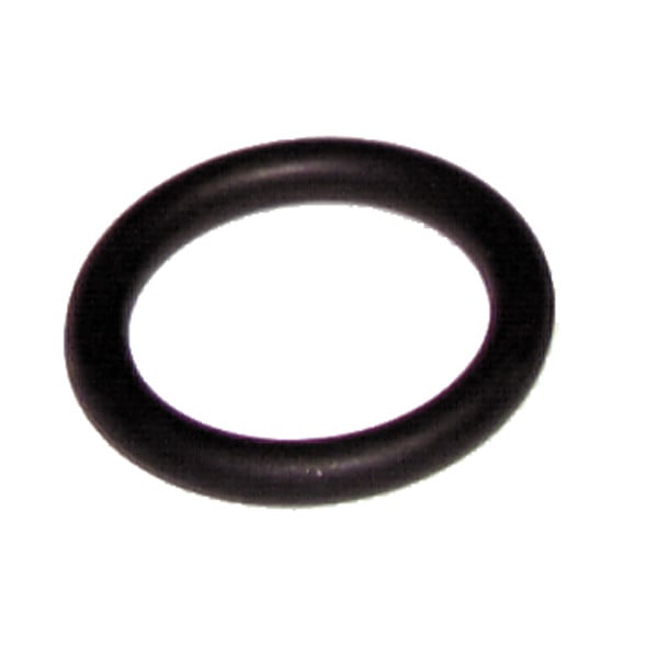 O-Ring (PK20)