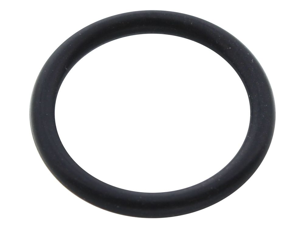 RING GASKET 1.78X12.42 BYPASS - Biasi