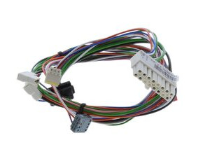 Harness