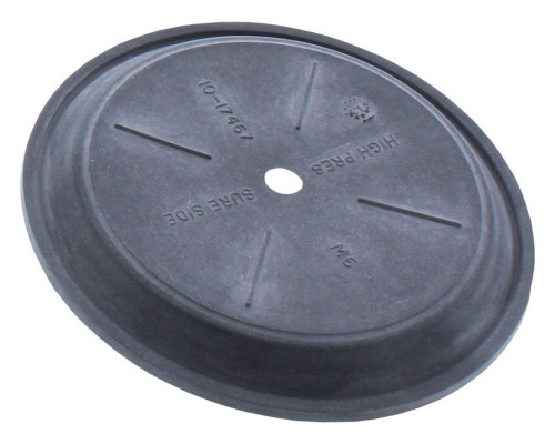 DIAPHRAGM