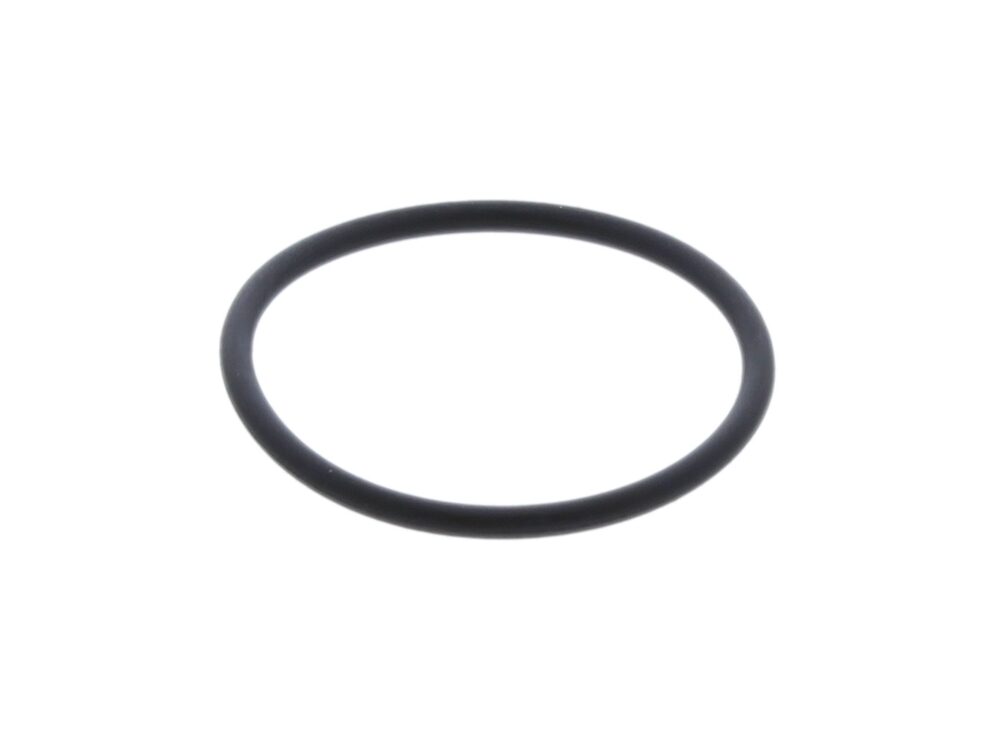 O RING FOR IMM.HTR SINGLE