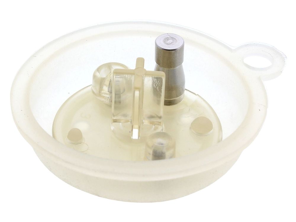 DIAPHRAGM (F)